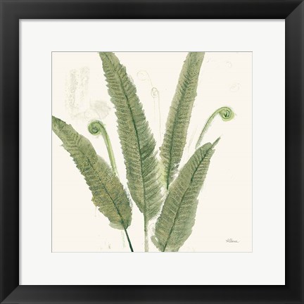 Framed Forest Ferns II Dark Print