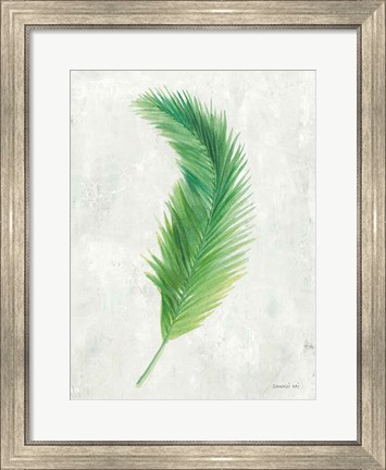 Framed Palms of the Tropics VI Print