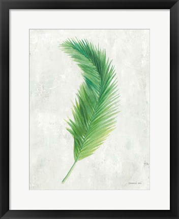 Framed Palms of the Tropics VI Print