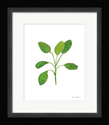 Framed Fresh and Green VII Print