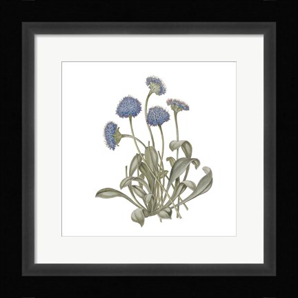 Framed Monument Etching Tile Flowers IX Print