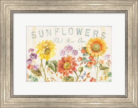 Framed Floursack Autumn IX Sunflowers Print