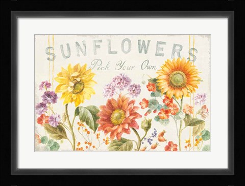 Framed Floursack Autumn IX Sunflowers Print