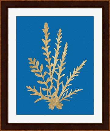 Framed Pacific Sea Mosses III Blue Print