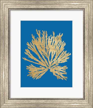 Framed Pacific Sea Mosses II Blue Print