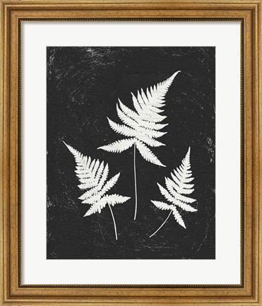 Framed Forest Shadows IV Black Crop Print