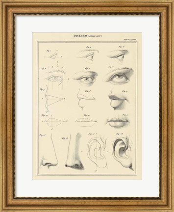 Framed Face Chart Print