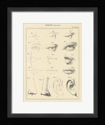 Framed Face Chart Print