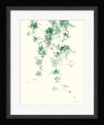 Framed Trailing Vines II Print