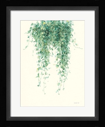 Framed Trailing Vines I Print