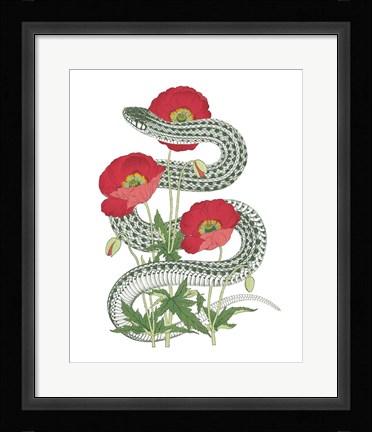 Framed Natural Beauty II Print