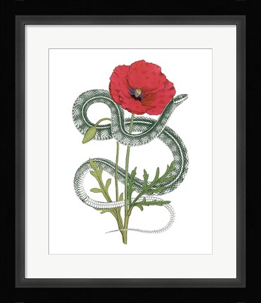 Framed Natural Beauty I Print