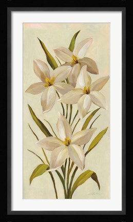 Framed Elegant White Florals II Print