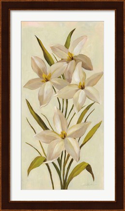Framed Elegant White Florals II Print