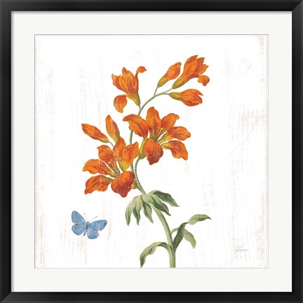 Framed White Barn Flowers VII Sq Print