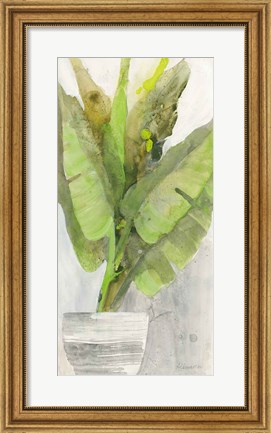 Framed Tropical Planter II Print