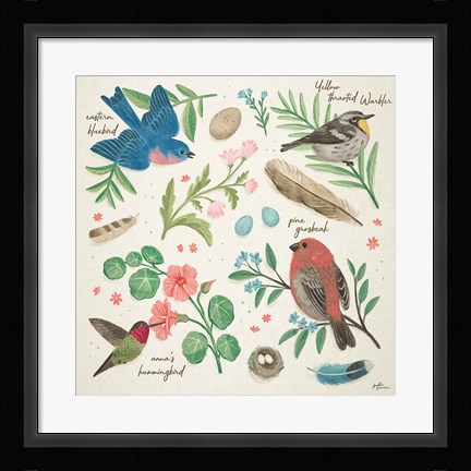 Framed Bird Study III Print