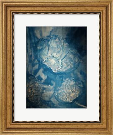 Framed Three Poppies In Blue Print