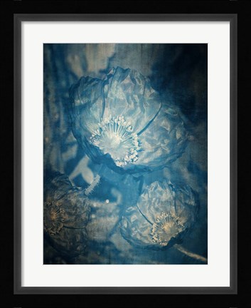 Framed Three Poppies In Blue Print