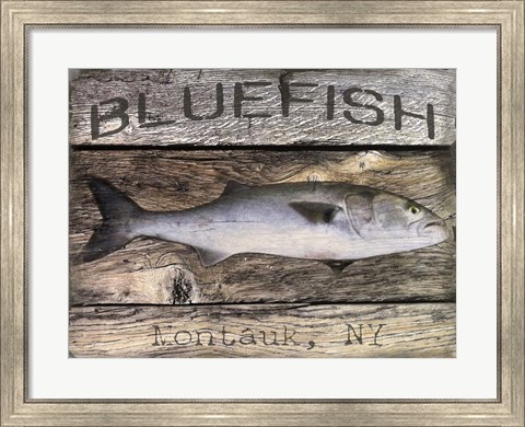 Framed Bluefish Print