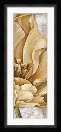 Framed Floral II Print