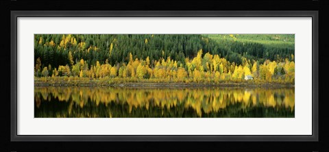 Framed Osterdalen Glomma River, Koppang, Norway Print