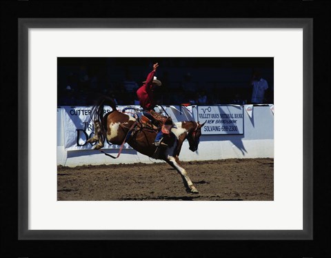 Framed Saddle Bronc Rider Print