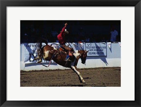 Framed Saddle Bronc Rider Print