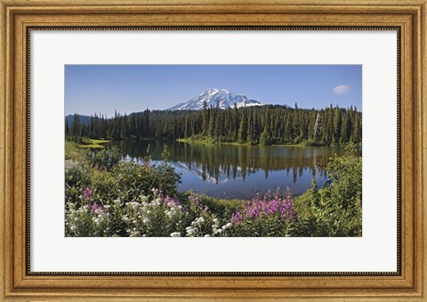 Framed Reflection Of A Mountain And Trees In Water, Mt Rainier National Park, Washington State Print