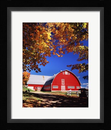 Framed Big Red Barn Autumn Farm Scenic Print