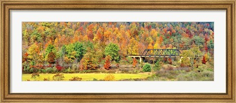 Framed Cantilever Bridge And Autumnal Trees In Forest, Central Bridge, New York State Print