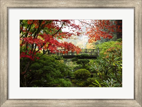 Framed Autumn Leaves On Trees And Footbridge, Japanese Garden Print