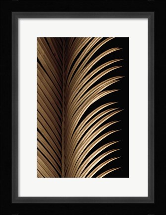 Framed Tropical Leaf Study I Print