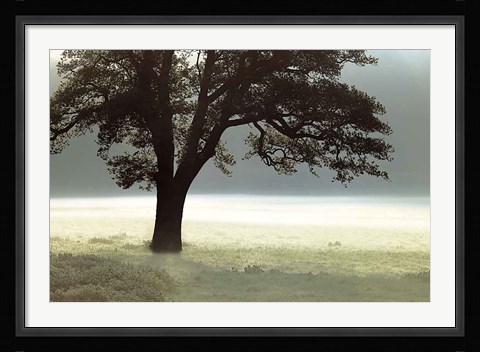 Framed Enlighten Me Print