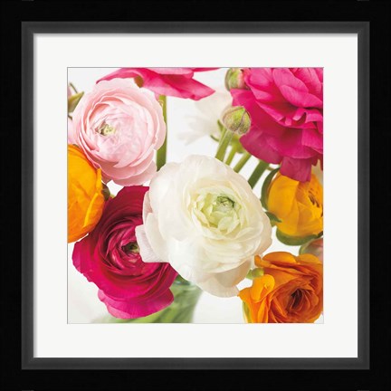 Framed Burst of Sunshine I Print