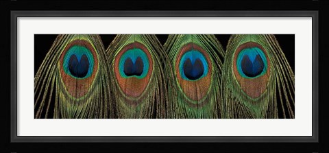 Framed Royal Show Print