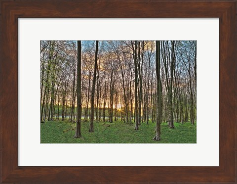 Framed Secret Sunset Print