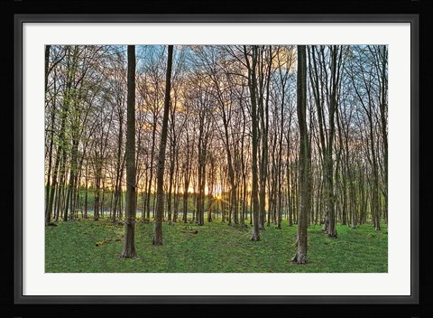 Framed Secret Sunset Print