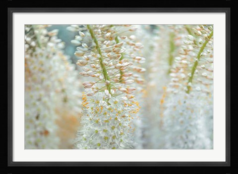 Framed Humbled Print