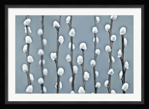 Framed Protected Print