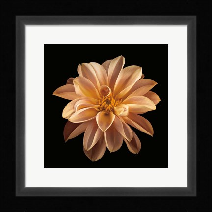 Framed Four Keeps II Print