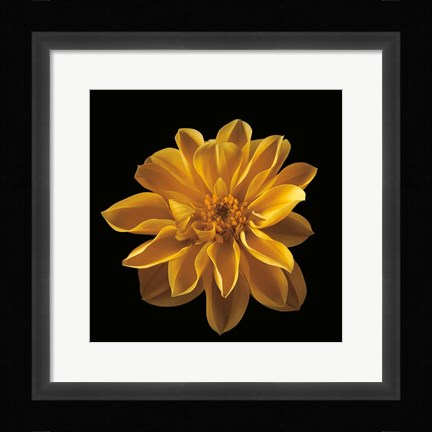 Framed Four Keeps III Print