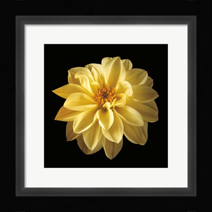 Framed Four Keeps IV Print