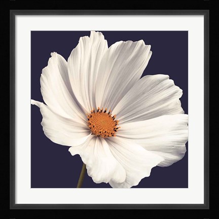 Framed Cosmos I Print