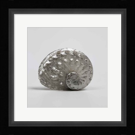 Framed Beachside Treasure IV Print