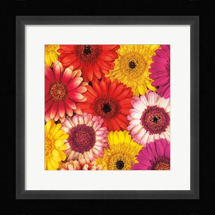 Framed Splash of Color II Print