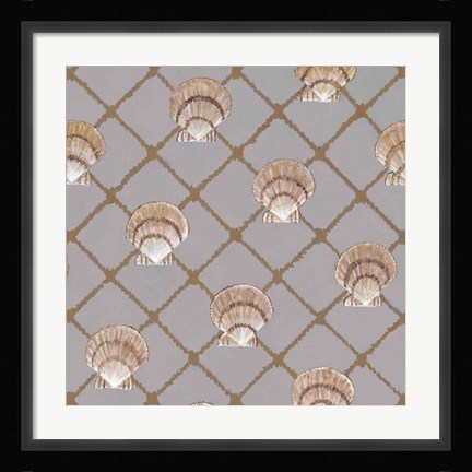 Framed Scallop Shell Net Print