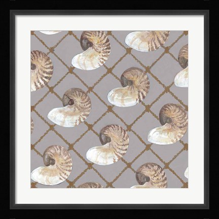 Framed Nautilus Net Print