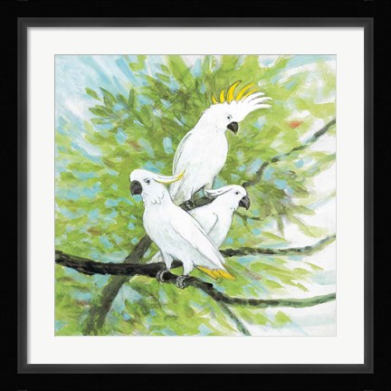 Framed Cockatoos Print