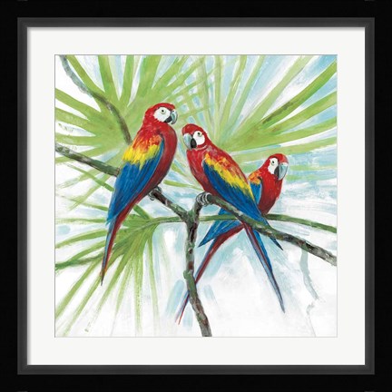Framed Parrots Print